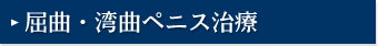 屈曲・湾曲ペニス