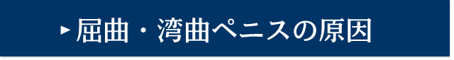 屈曲・湾曲ペニスの原因